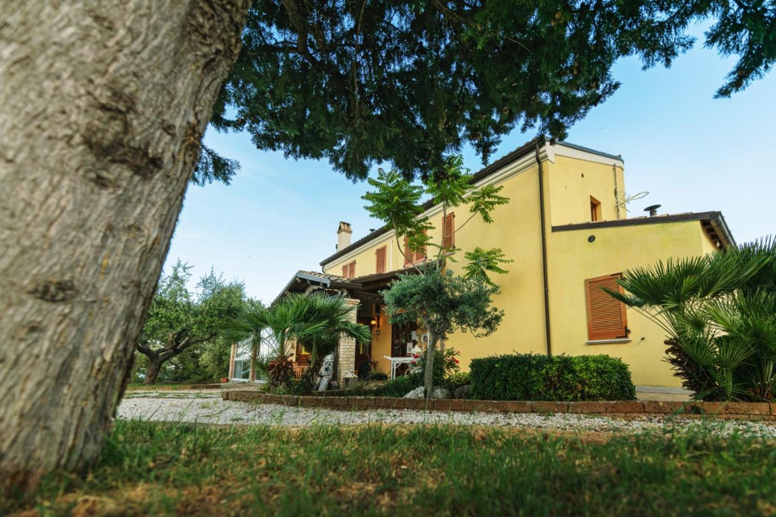 Bed and Breakfast Briciola di Sole Borgo  Esterno foto